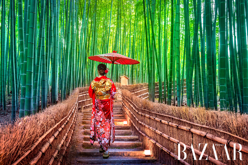Du lịch Kyoto