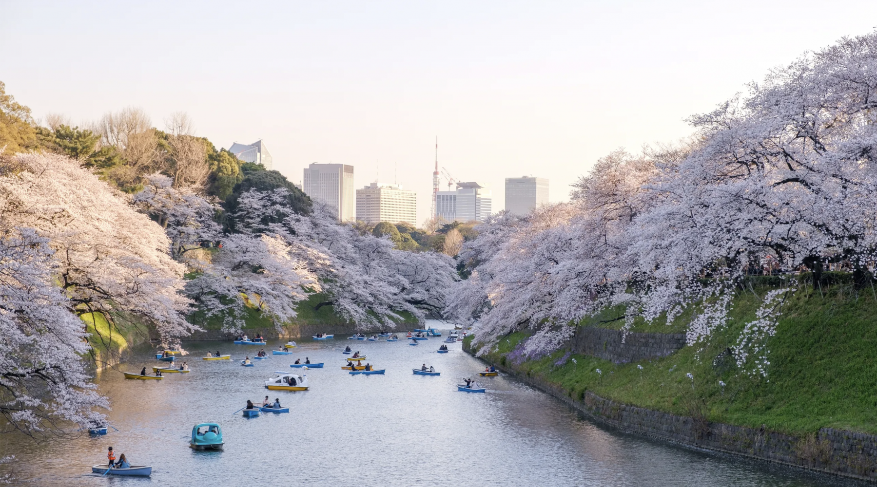 Du lịch tự túc Nhật Bản nên đến những nơi nào?