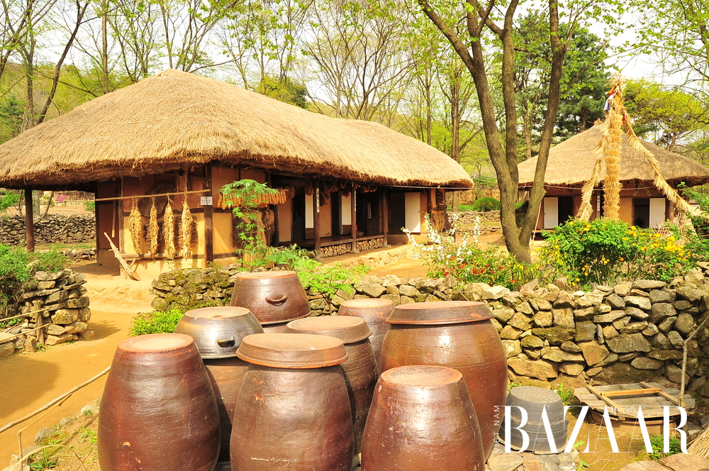 Chơi gì ở Seoul