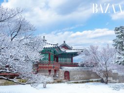 Chia sẻ kinh nghiệm du lịch Hàn Quốc