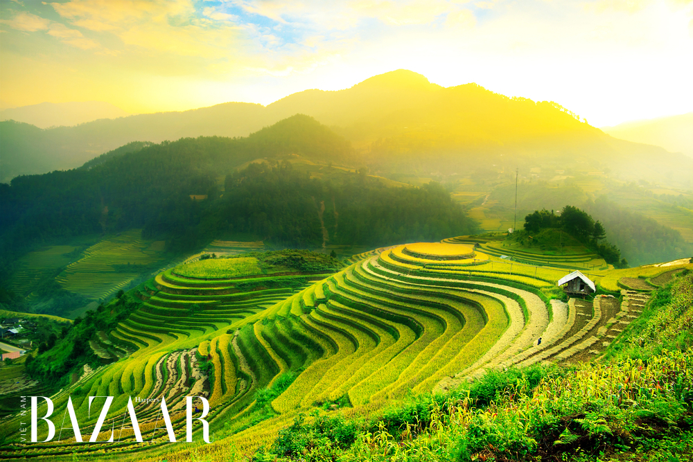 Ruộng bậc thang Mù Cang Chải – di tích quốc gia kỳ vĩ