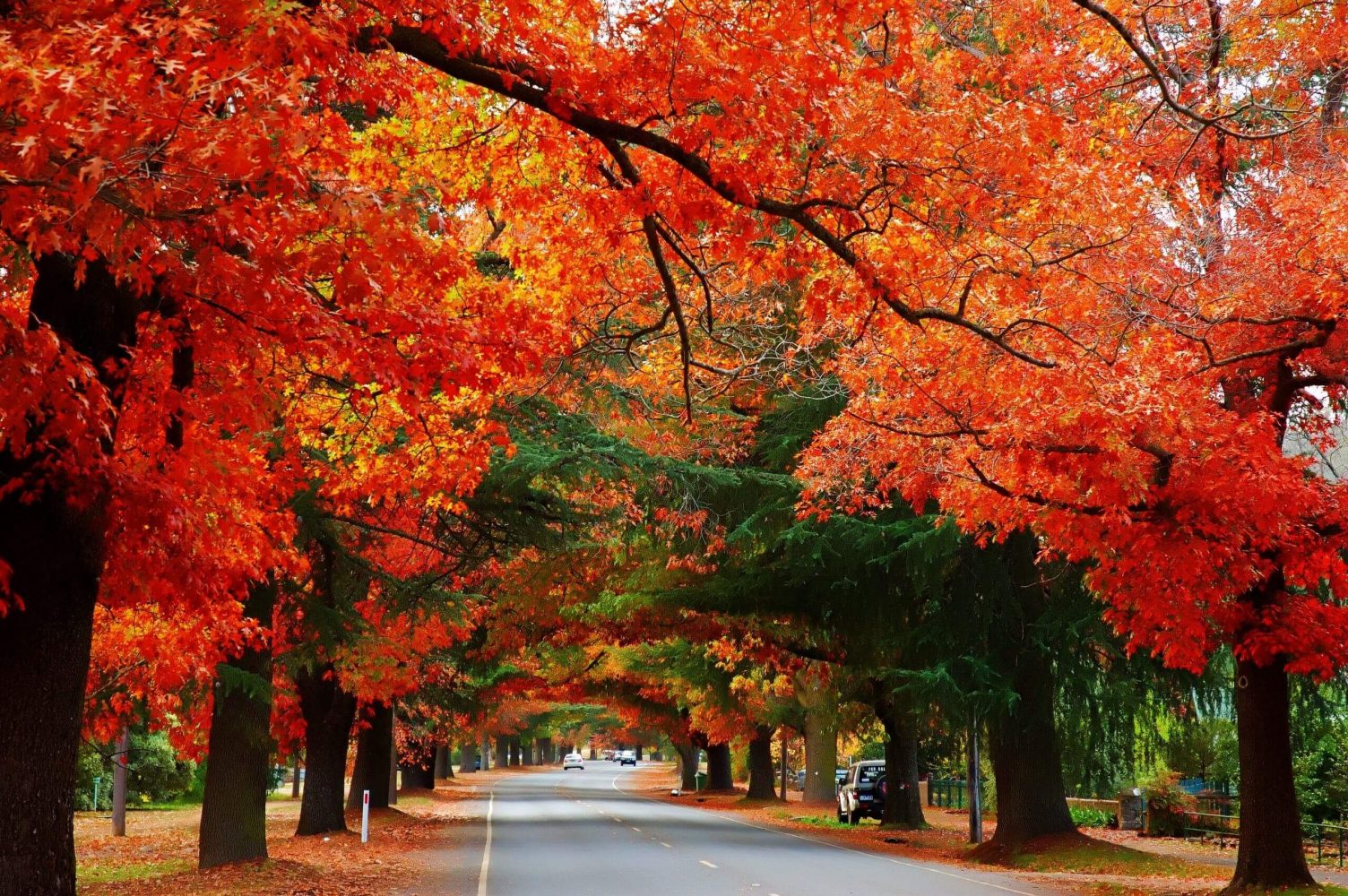 Du lịch Úc mùa nào đẹp nhất?