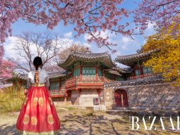 Địa điểm du lịch Hàn Quốc: Cung điện Changdeokgung