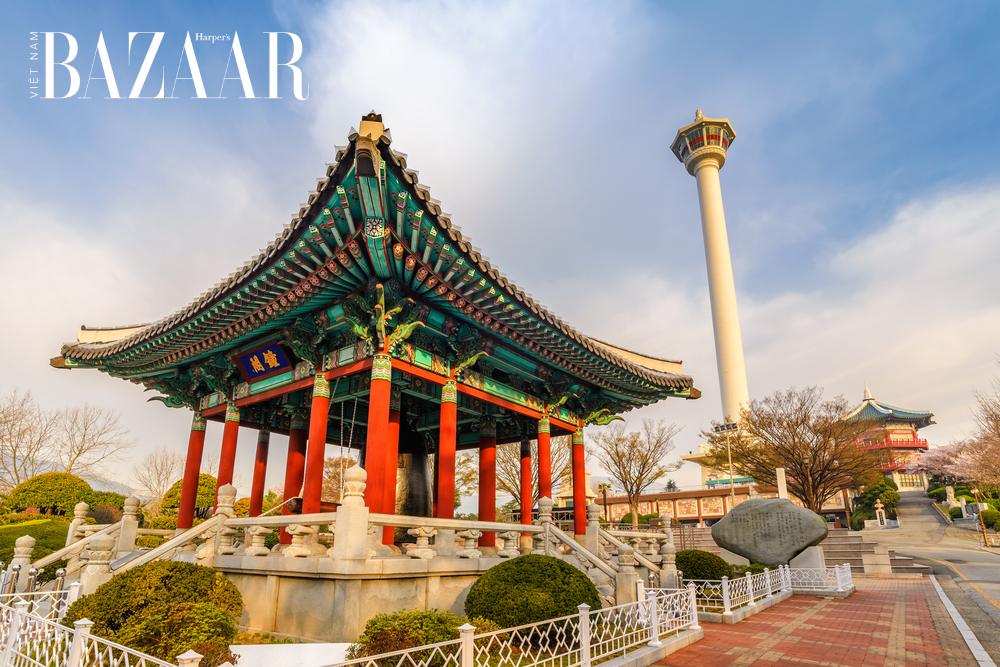 Địa điểm du lịch Hàn Quốc: Tháp Busan Tower
