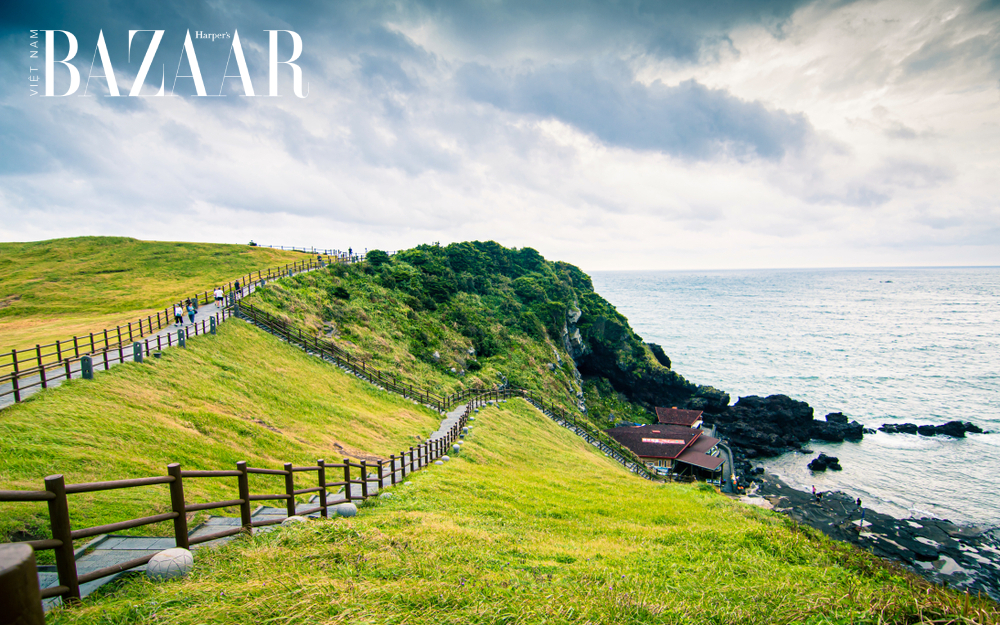 Du lịch đảo Jeju 