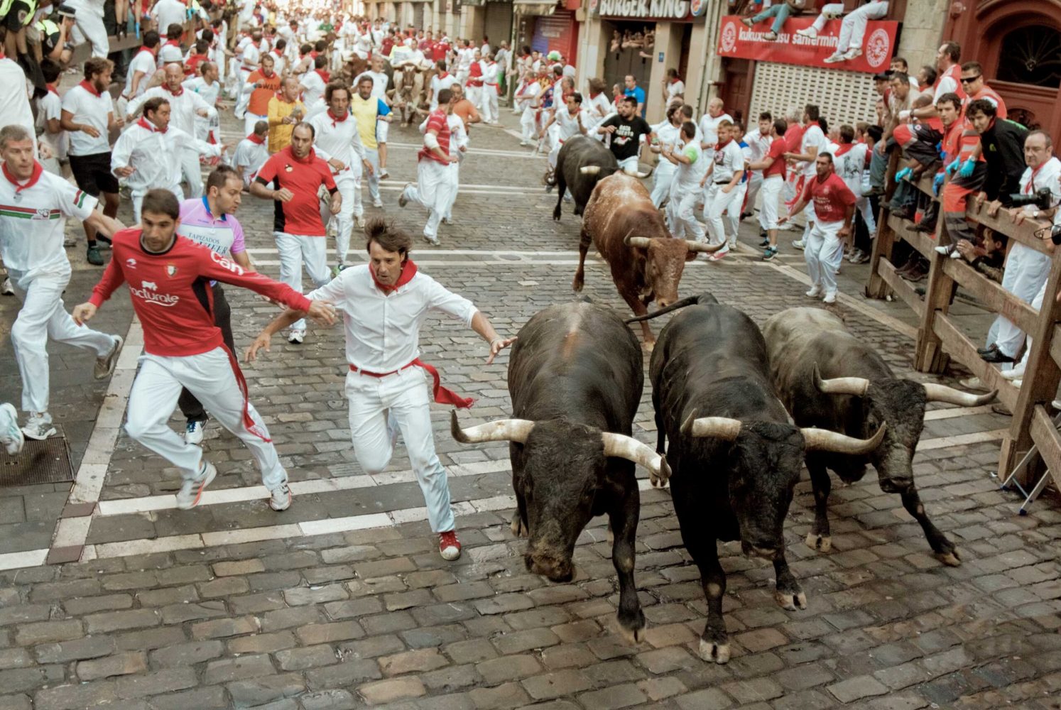 Lễ hội bò đuổi Pamplona