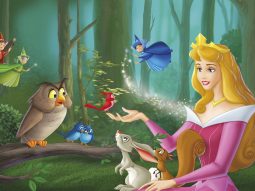 Tên các nàng công chúa của Disney: Công chúa Aurora