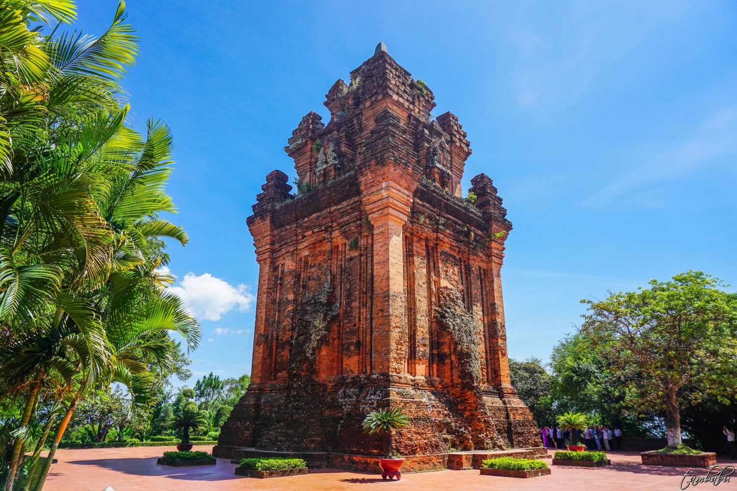 Tháp Nhạn – Tháp của người Chăm Pa xưa