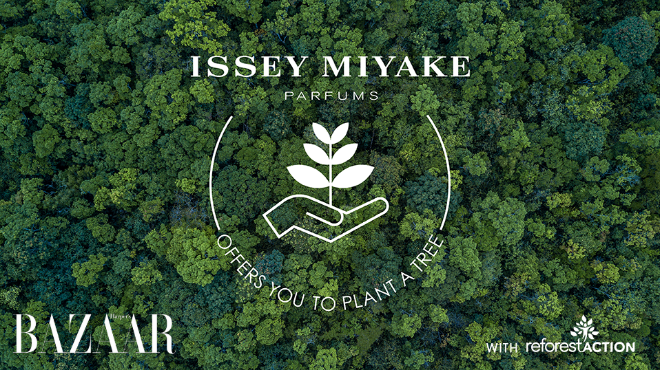 issey-miyake-reforest