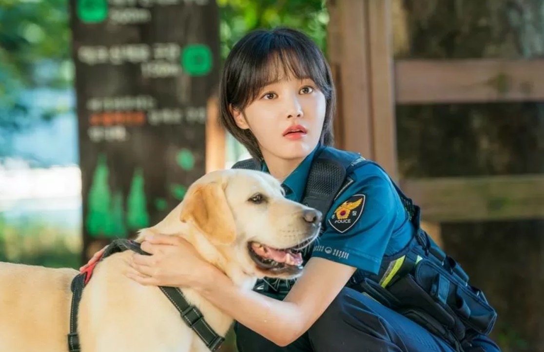 Chương trình truyền hình có sự tham gia của Yeonwoo: Chú chó biết tuốt – Dog knows everything (2024)