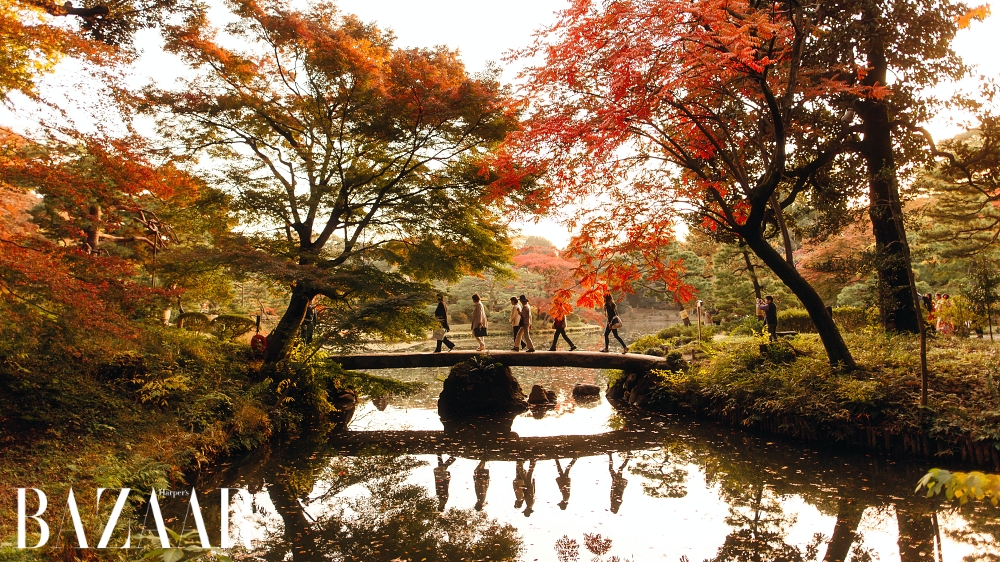 địa điểm ngắm lá mùa thu đẹp nhất ở Tokyo