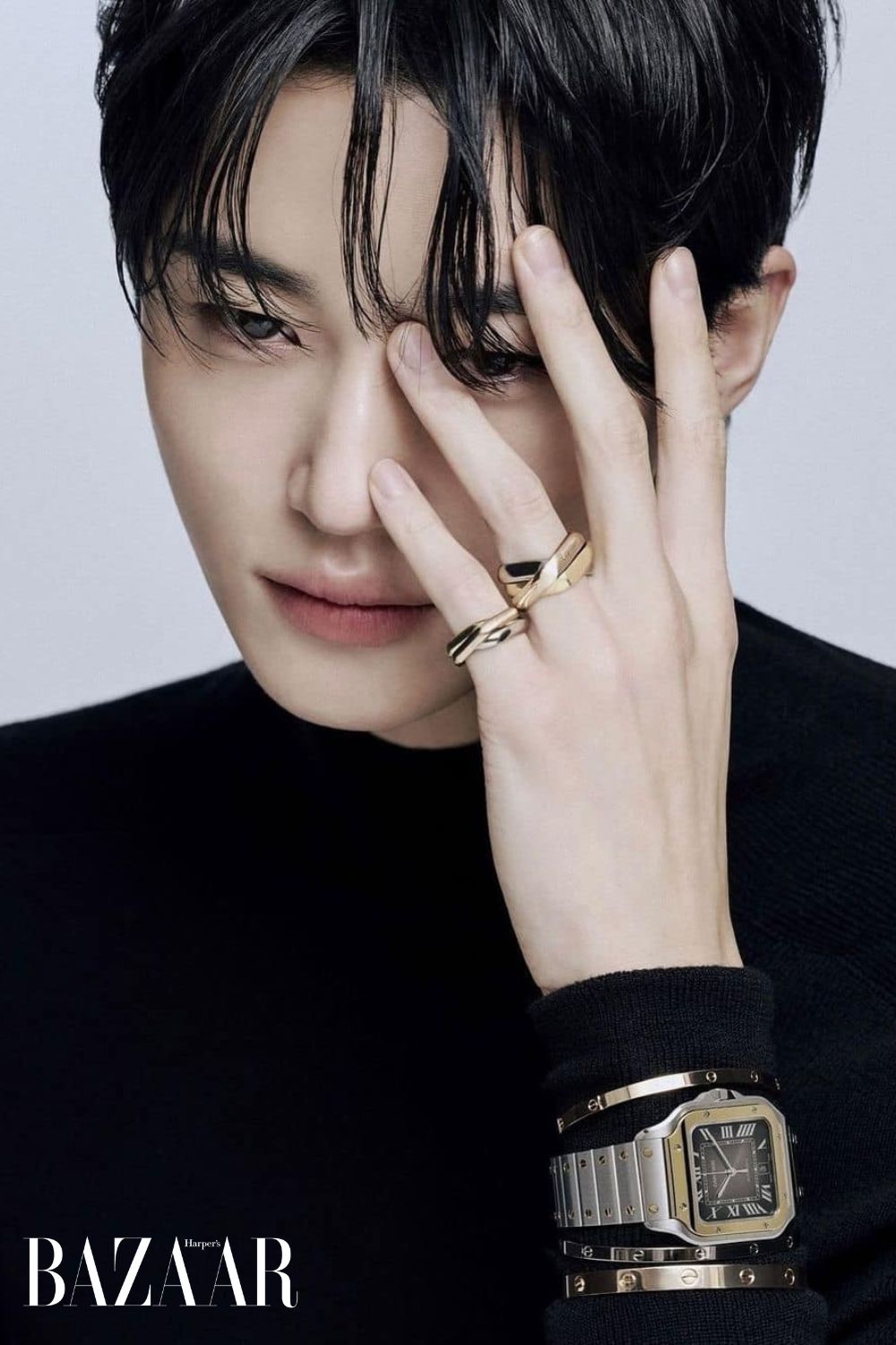 bzvn-byeon-woo-seok-cartier (1)