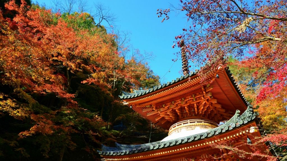 Ushitakisan Daitokuji Temple