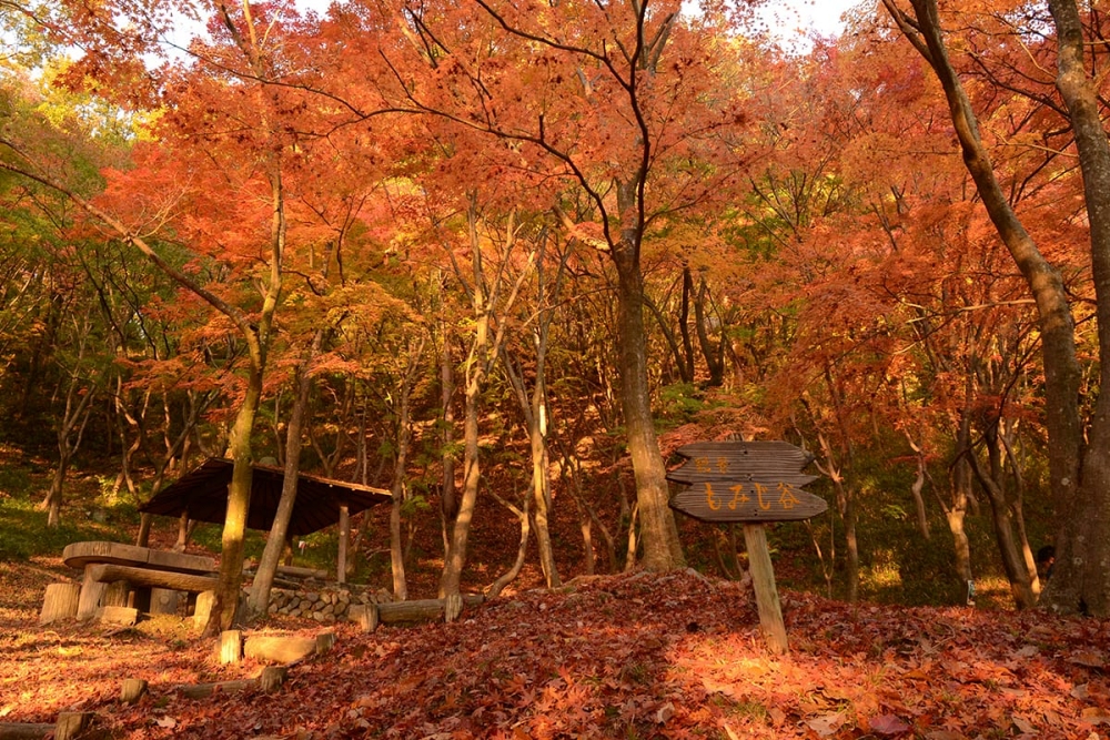 Settsukyō Park