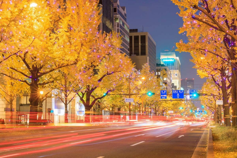 Midosuji osaka autumn