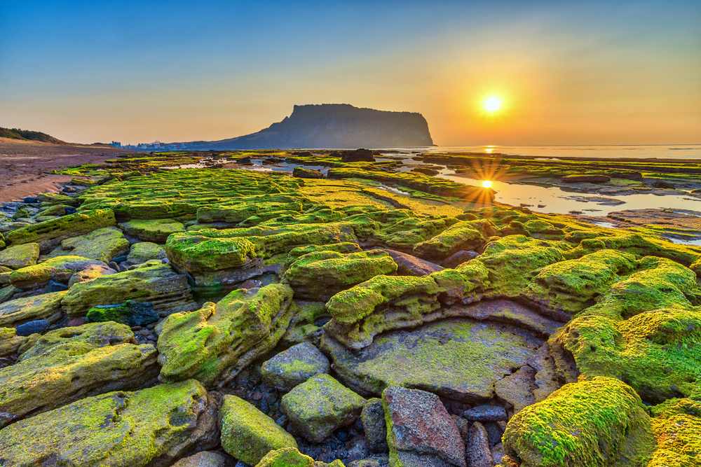 Du lịch đảo Jeju 