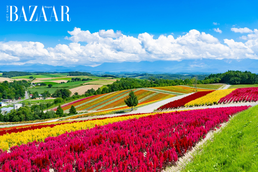Du lịch Hokkaido