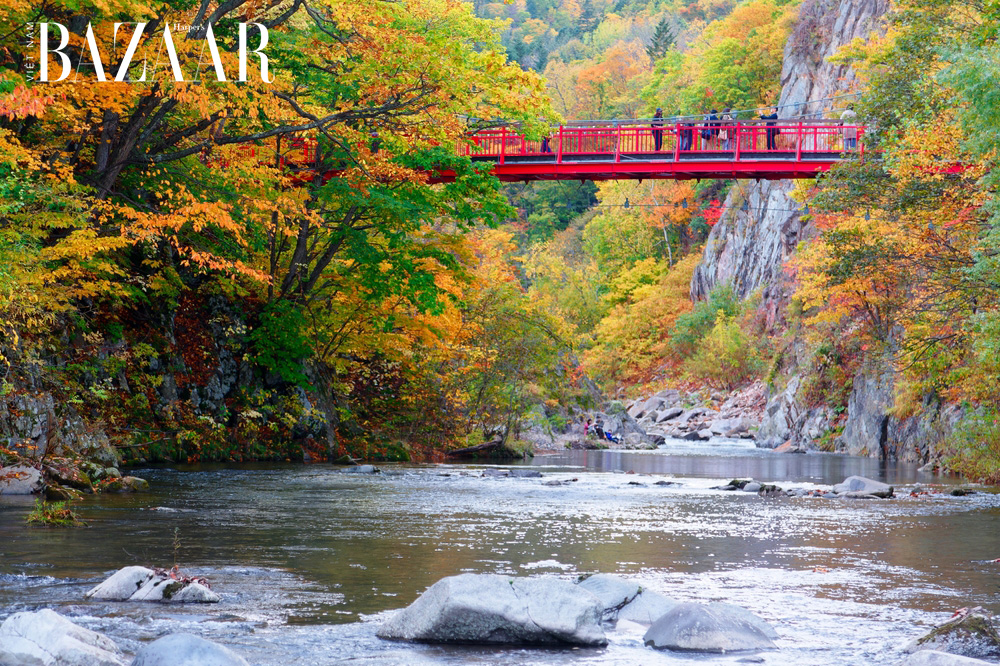 Các địa điểm cần phải ghé khi đến Hokkaido