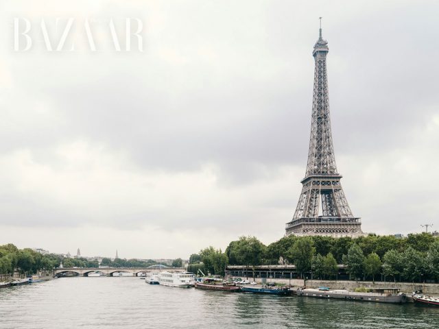 Paris trồng rừng đô thị, dùng cây xanh thay thế bãi đậu xe | Harper's ...