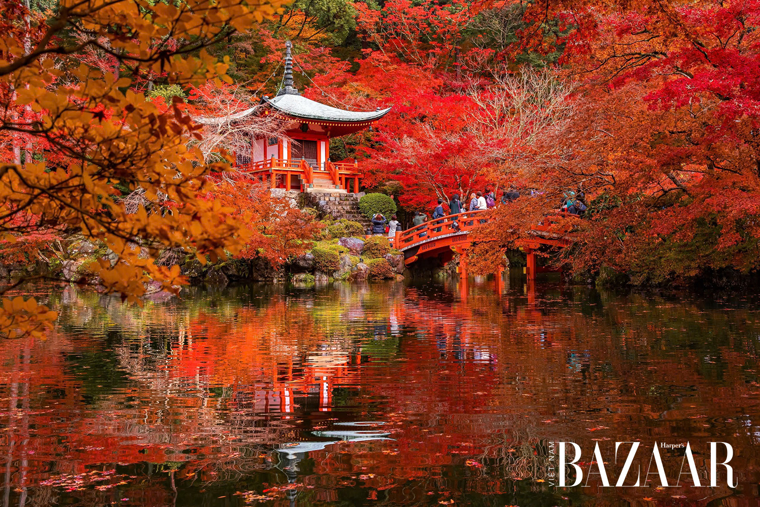 mùa thu ở nhật kyoto 