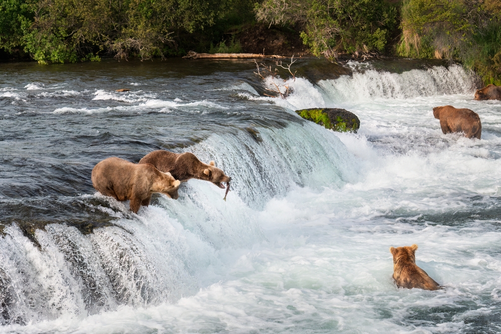 Nên tham quan các công viên quốc gia ở Alaska vào lúc nào?