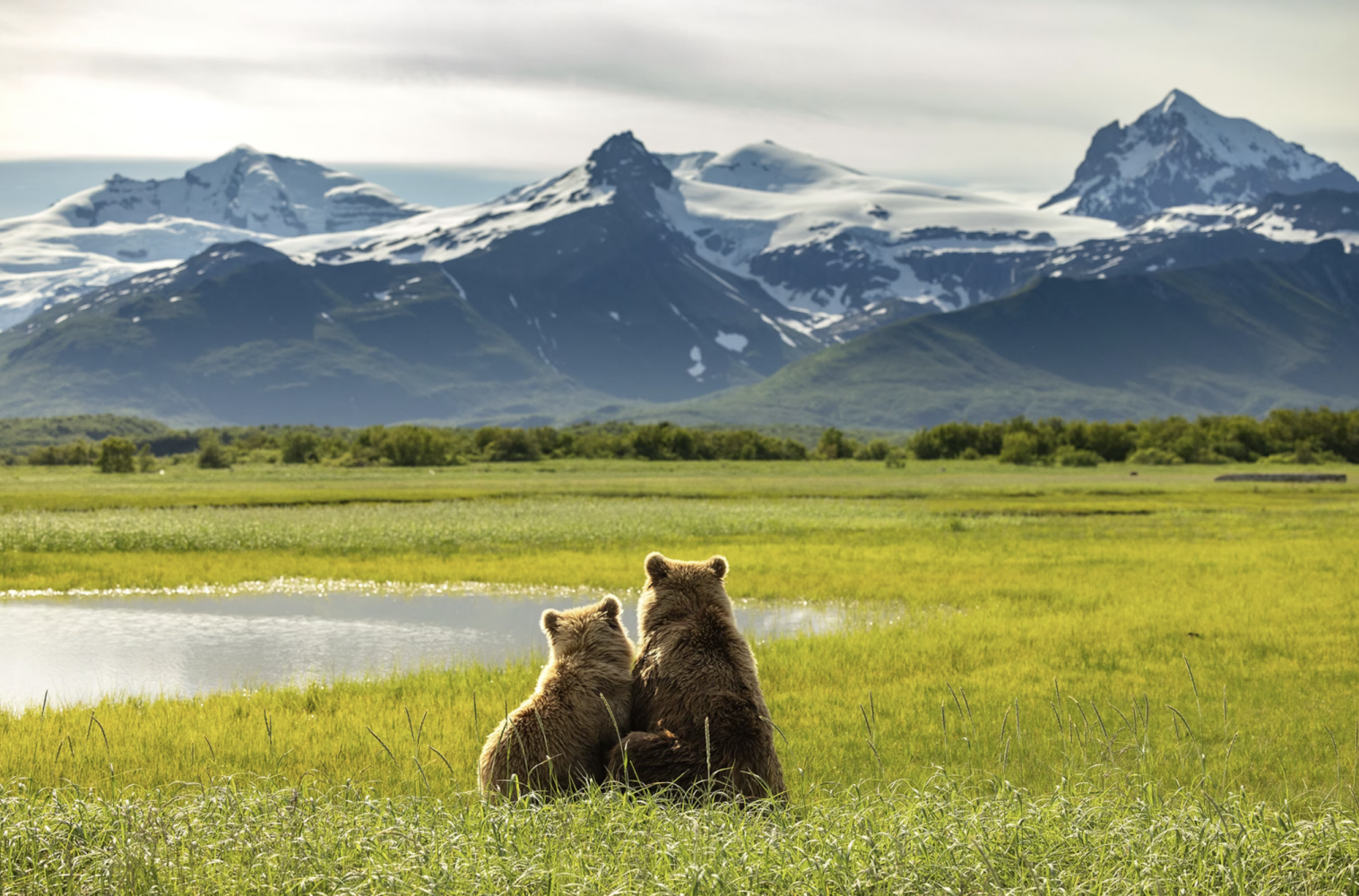 Công viên quốc gia và khu bảo tồn Katmai ở Alaska