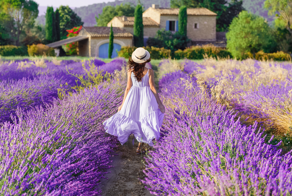 Provence, Pháp