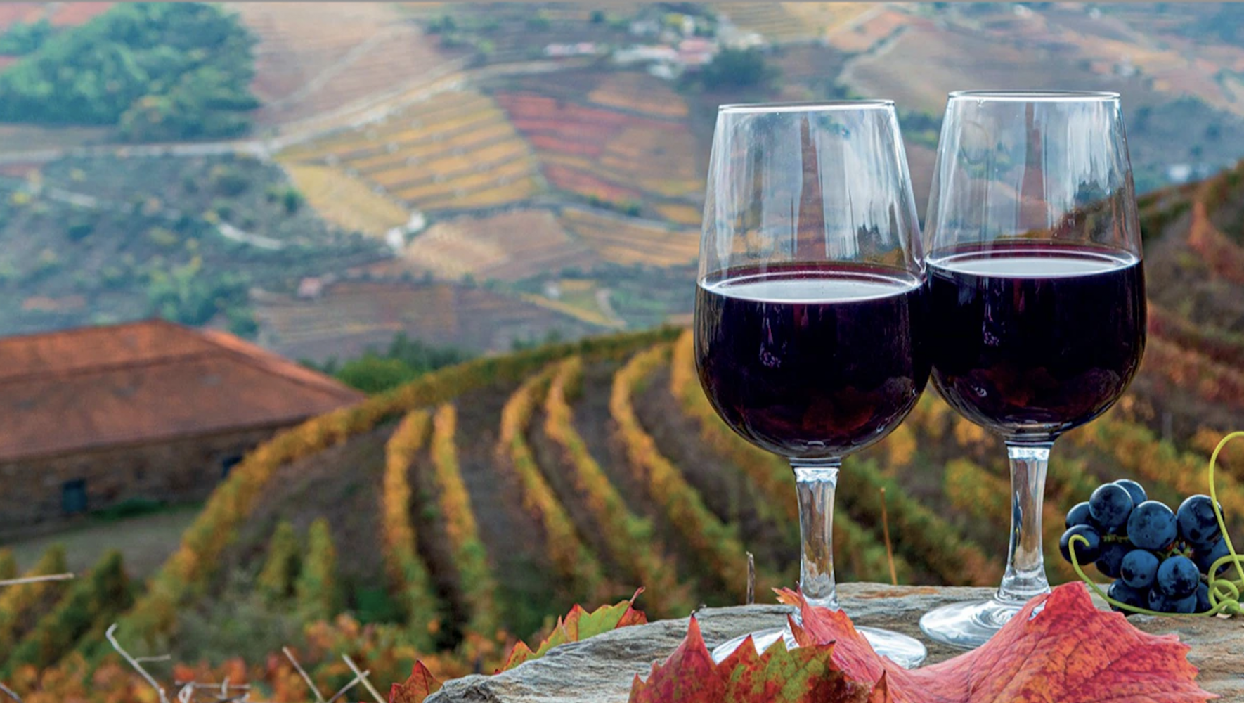 Thung lũng Douro, Bồ Đào Nha