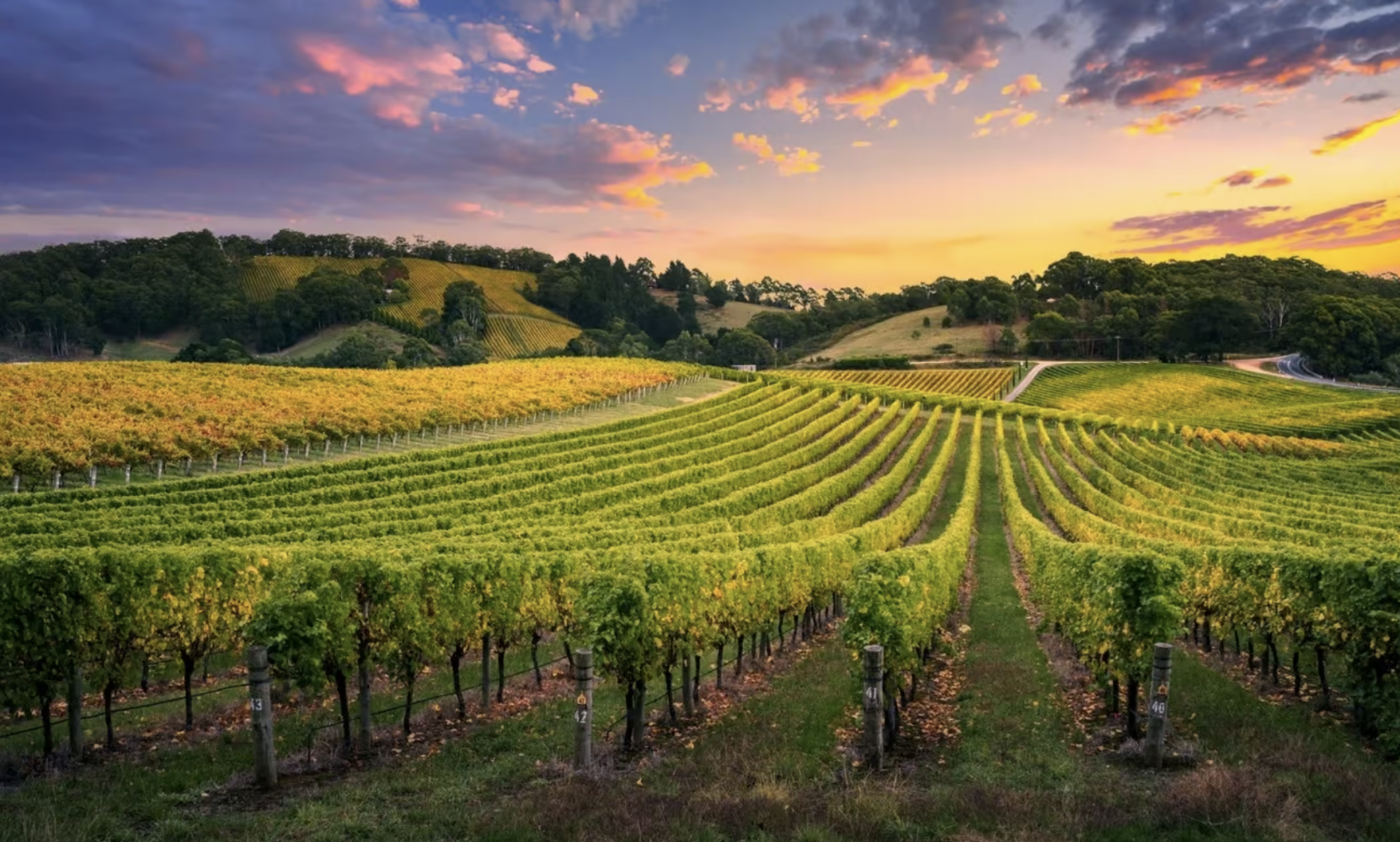 Thung lũng Barossa, Úc