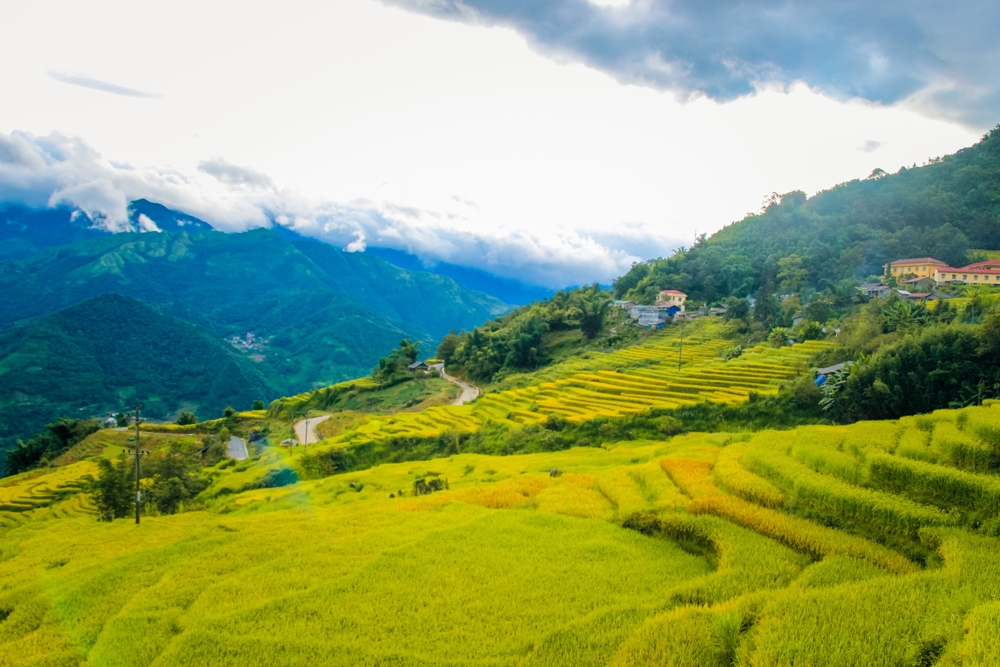 du lịch Y Tý