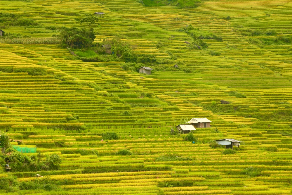 Du lịch Y Tý