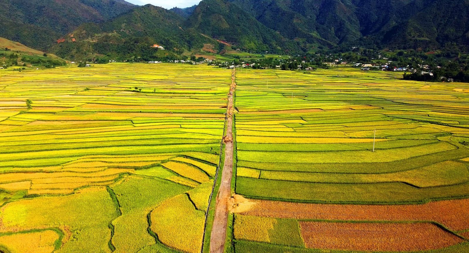 Cánh đồng Mường Lò
