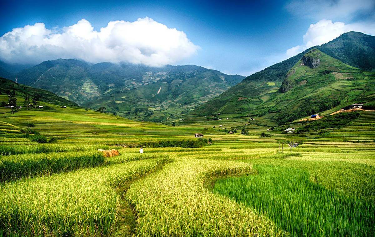 Thị trấn Nghĩa Lộ