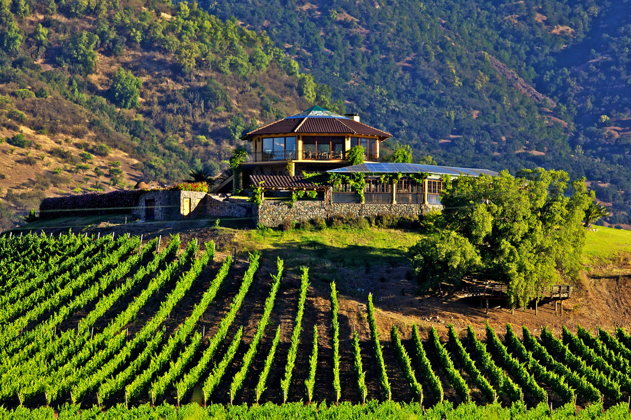 Những vùng rượu vang ngon nổi tiếng của Chile: Thung lũng Colchagua