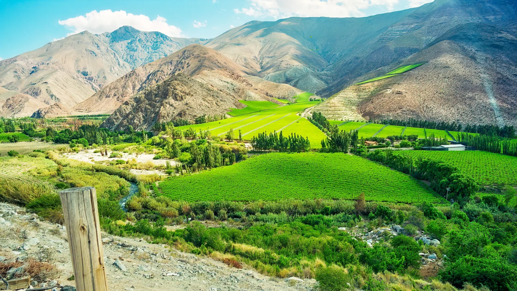 Những vùng rượu vang ngon nổi tiếng của Chile: Thung lũng Elqui