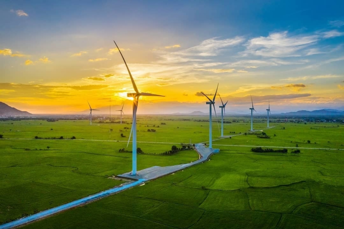 Thời điểm lý tưởng để đi du lịch Đà Lạt - Ninh Thuận? Cánh đồng điện gió Đầm Nại