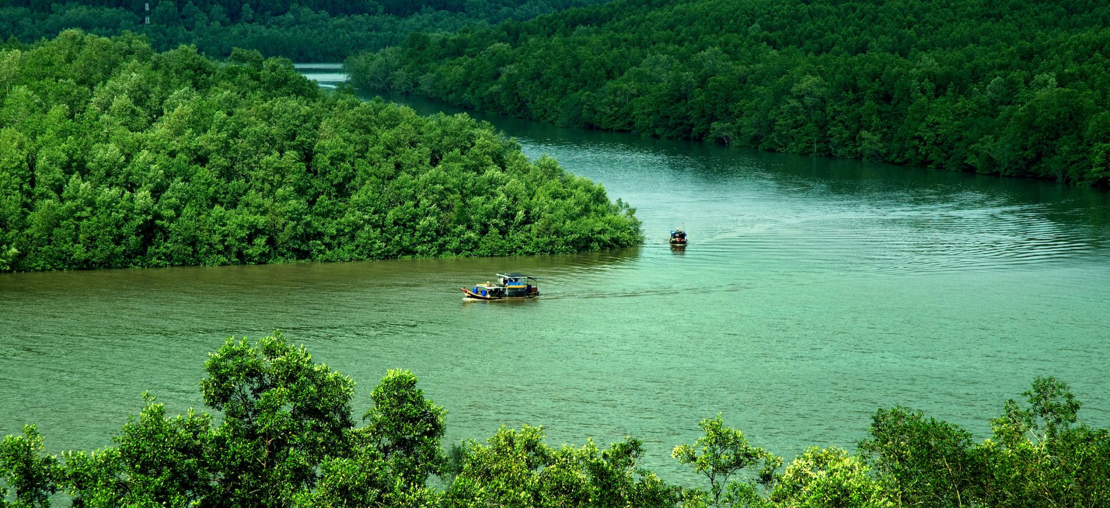 Kinh nghiệm du lịch Cần Giờ