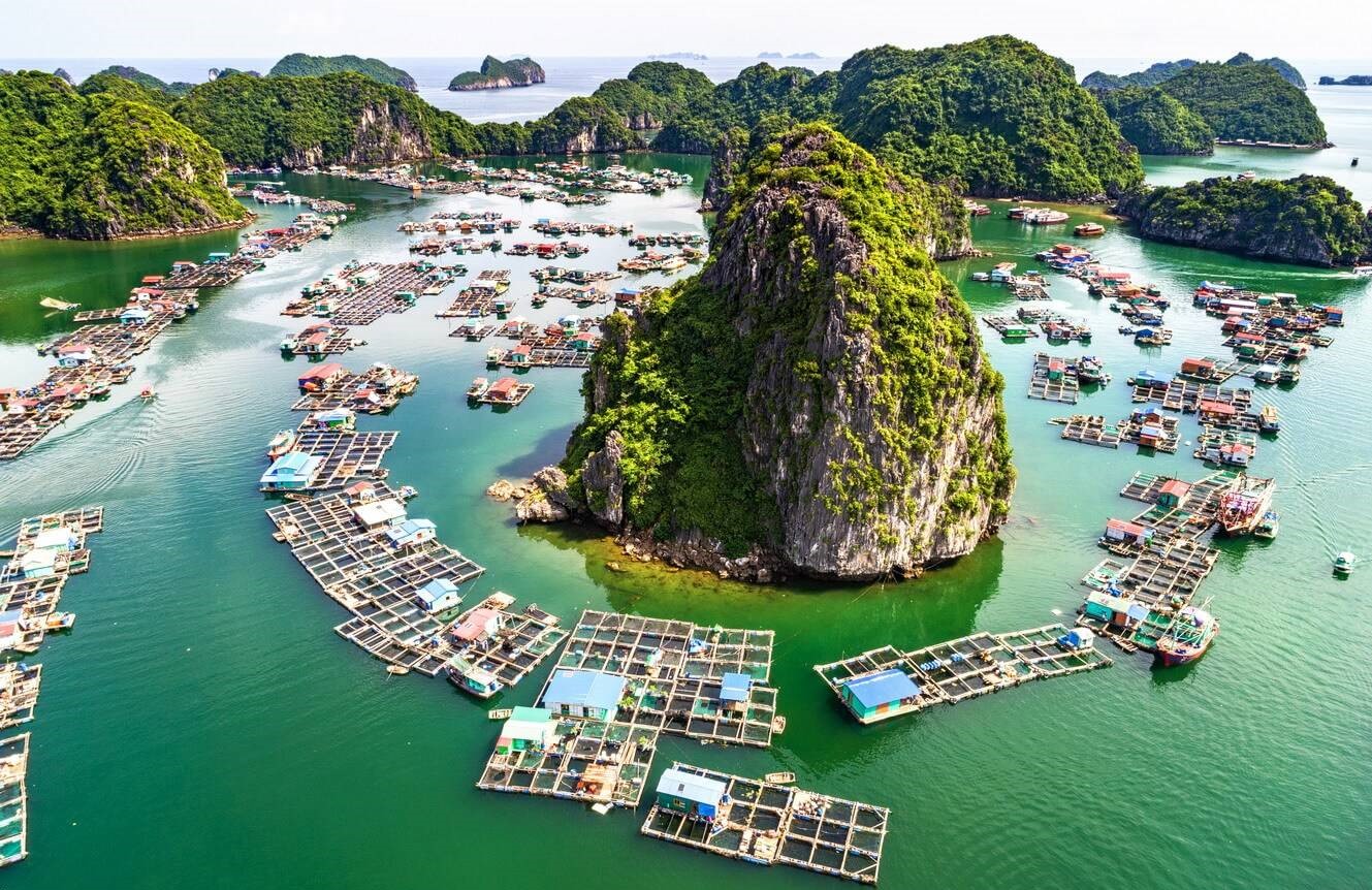 Làng chài Cái Bèo