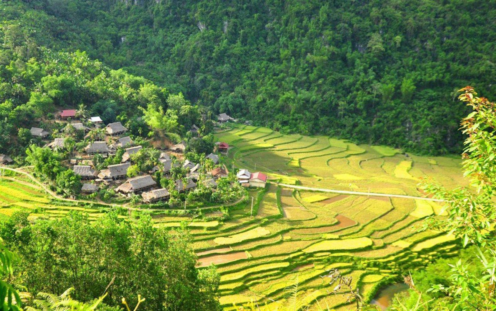 Bản Đôn