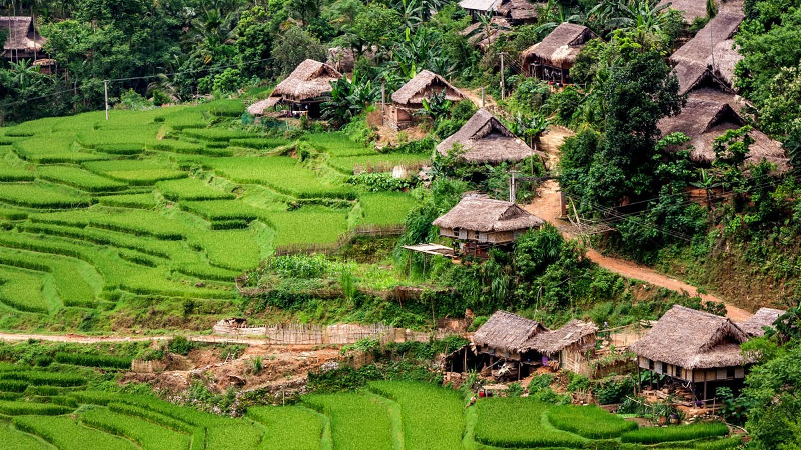 Bản Kho Mường