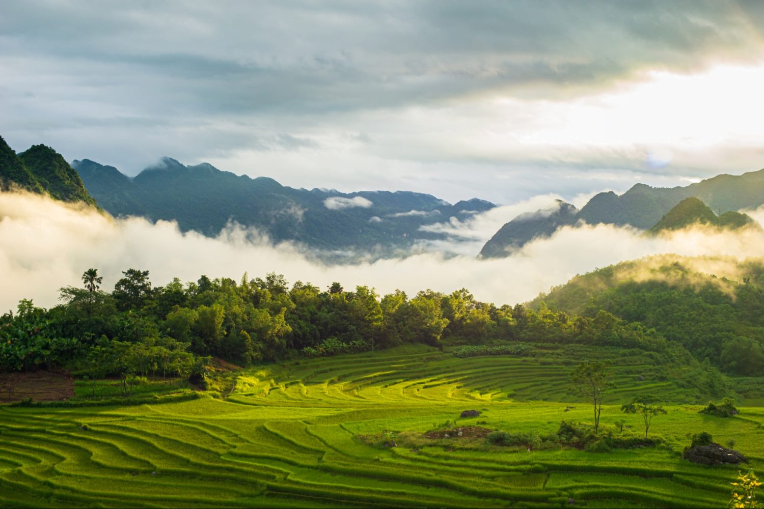 Chinh phục đỉnh Pù Luông