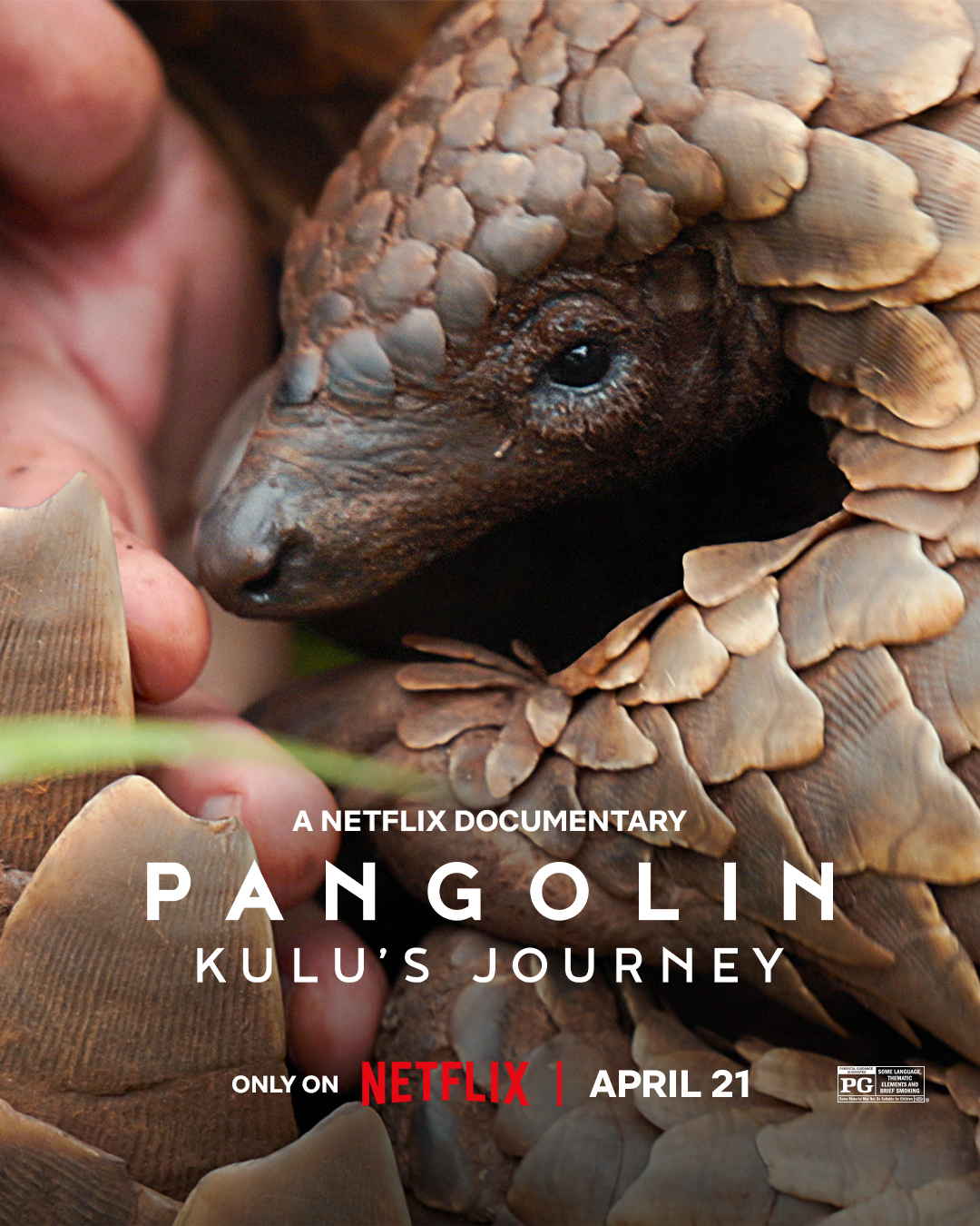 Pangolin: Kulu's journey (2025)