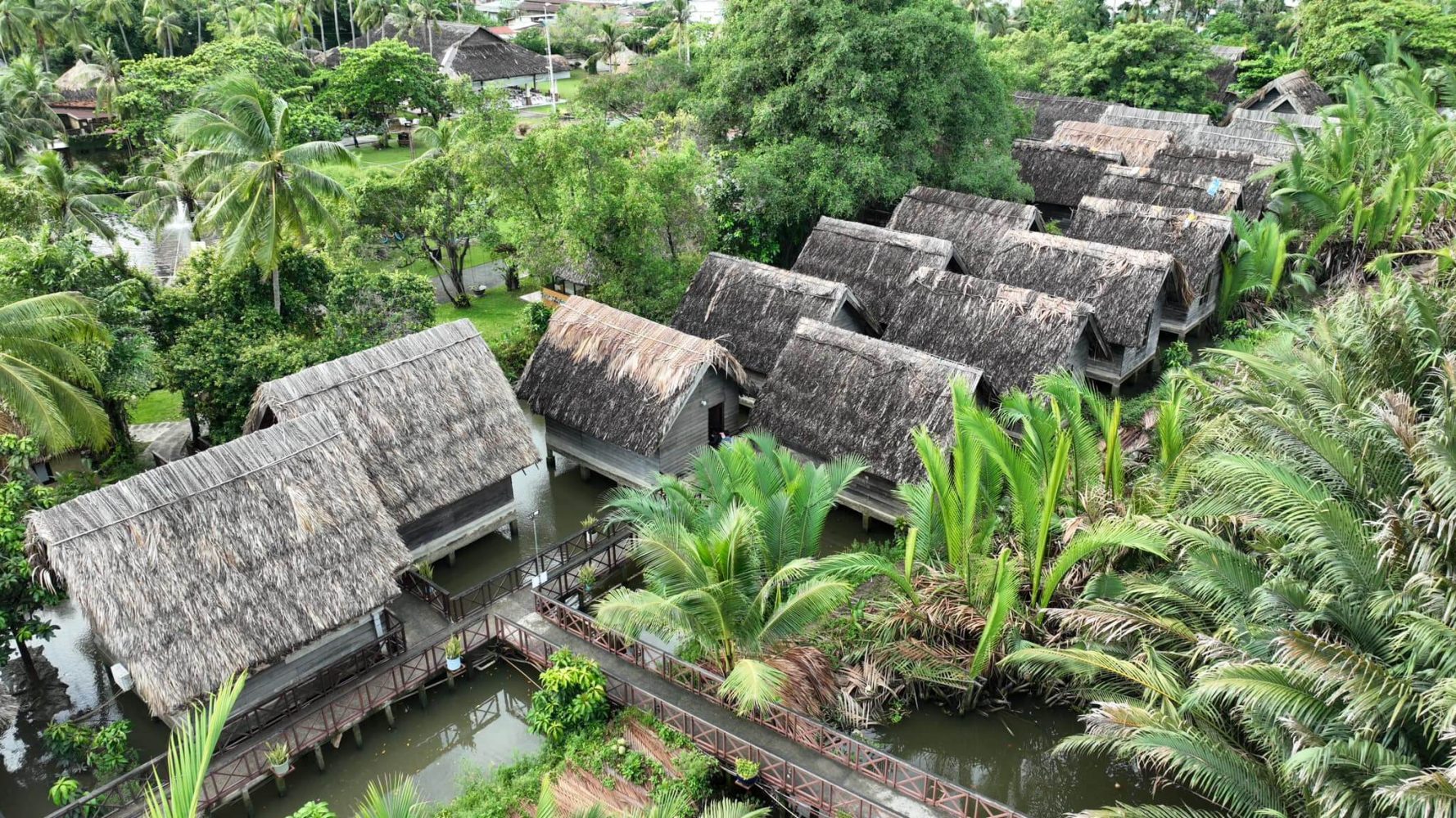 Hướng dẫn cách đi khu du lịch sinh thái Bình Quới