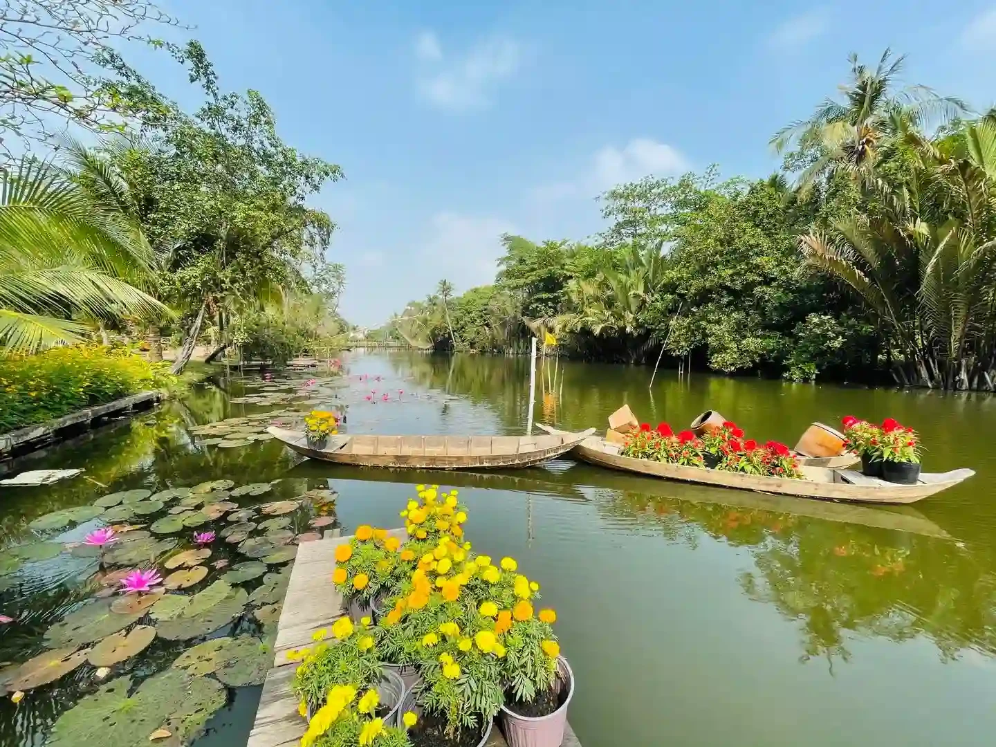 Các hoạt động thú vị