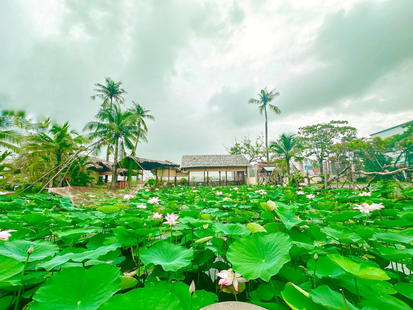 Bình Quới 2