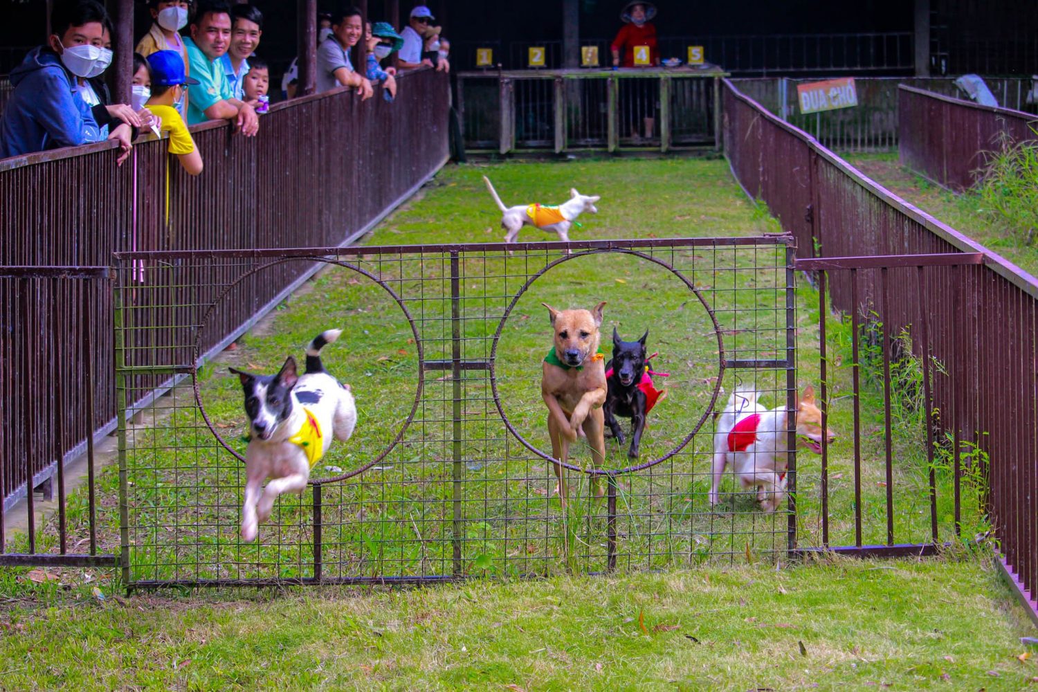 Kinh nghiệm tham quan khu du lịch Mỹ Khánh