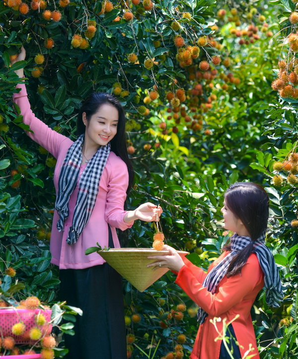 Góc sống ảo, khu nuôi thú và khu vui chơi trẻ em