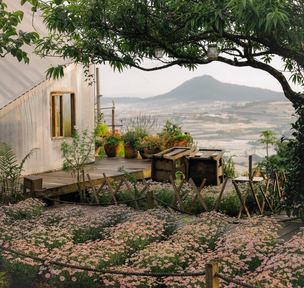 Cà phê Túi Mơ To