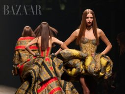 Nữ hoàng Elizabeth I, những năm 1590. Lịch sử chủ nghĩa tối đa