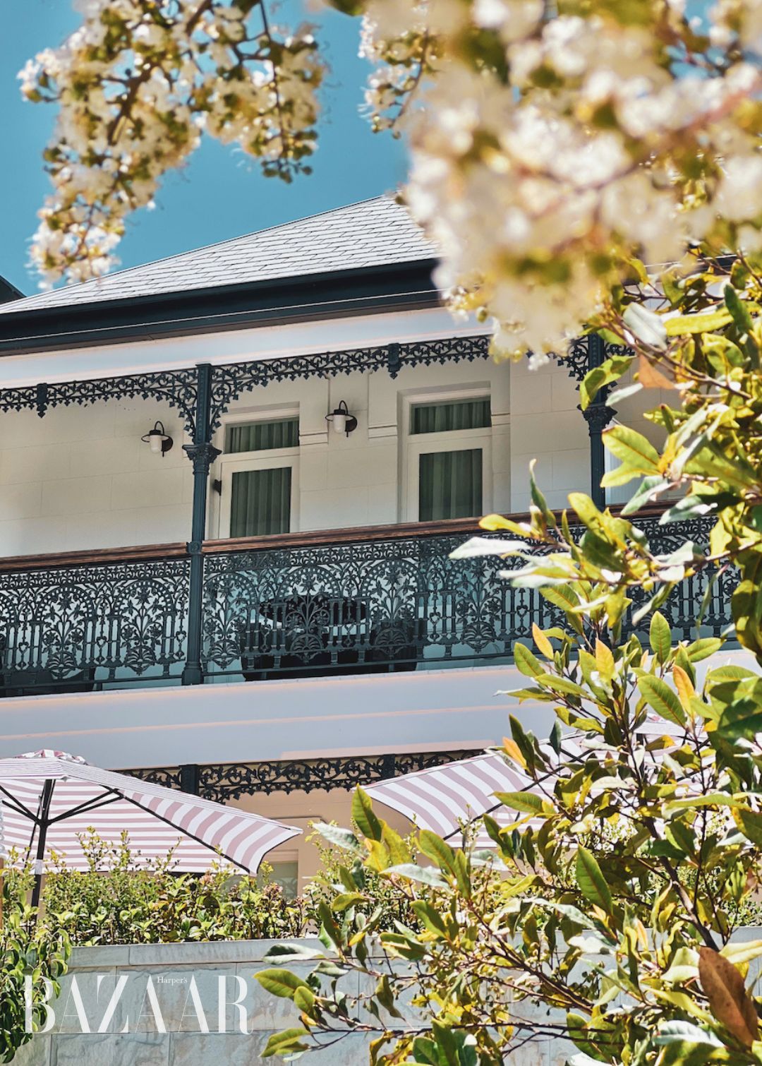 The Albert, khách sạn boutique tại Mosman, Úc. Ảnh: Kate Branch